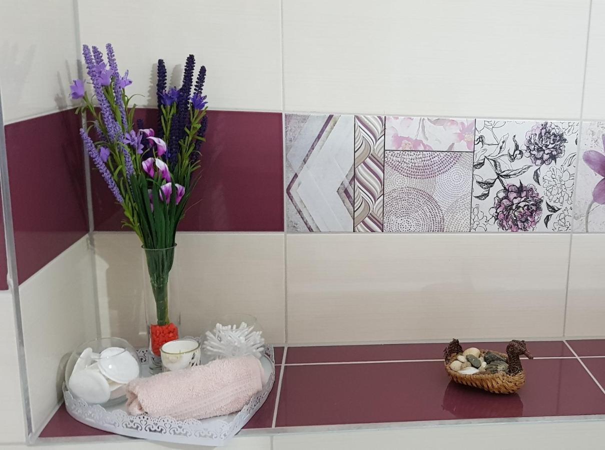 Korona Studio براشوف المظهر الخارجي الصورة
